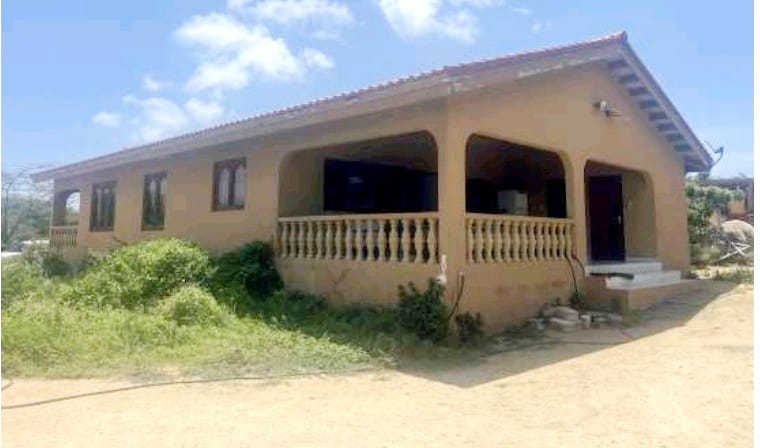 NO 2